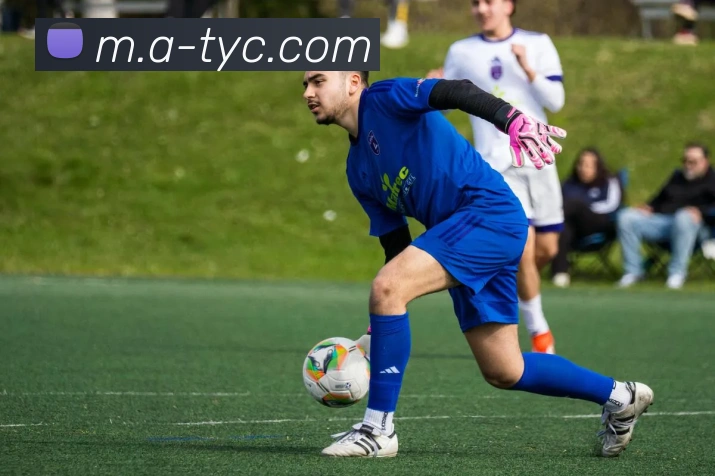 辅助工具 辅助工具